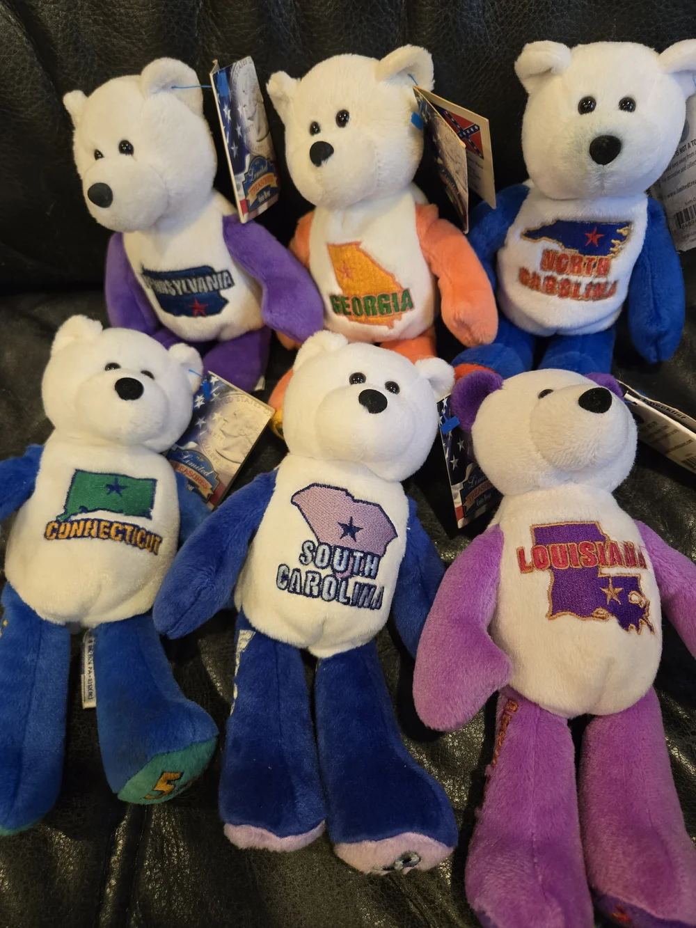 Limited Edition State Quarter Coin Bears – Collectible Plush  – Good - Picture 2 of 9